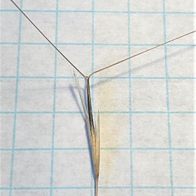 A Single Spikelet