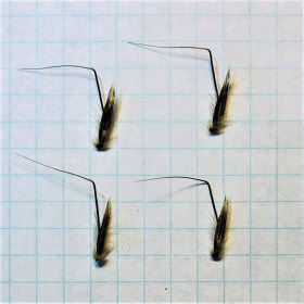 Separate Hairy Florets with Awns